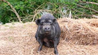 Bed & Breakfast Les Vergers De Notre Dame