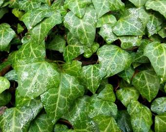 Agroturismo El Refugio De Los Molinos