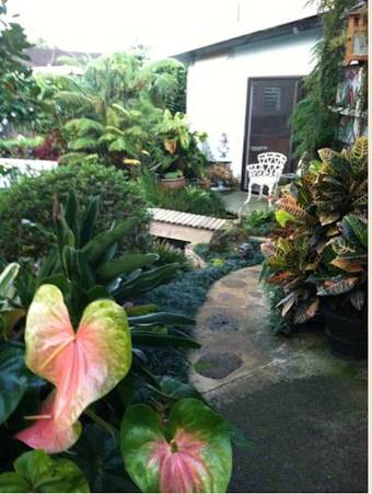 The Secret Garden Room