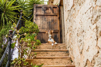 Agroturismo Finca Can Duvai