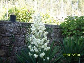 Agroturismo Casa De Turismo Rural Os Petroglifos