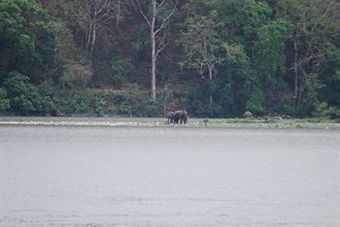 Ganga Kinare - A Riverside Boutique Hotel