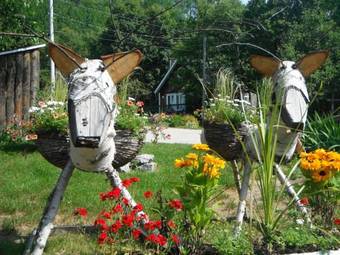 Chalets-camping Domaine Des Dunes