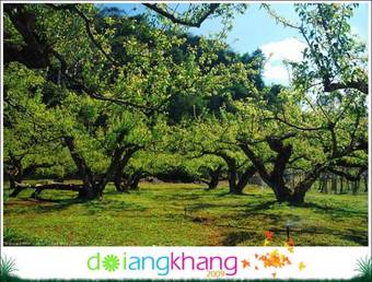 Hostal Kasarin Court