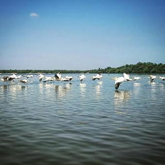 Hotel Satul De Vacanta Campo Euro Club