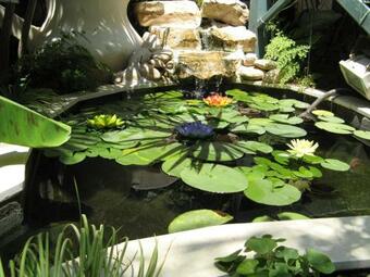 Hostal Dekel Guesthouse