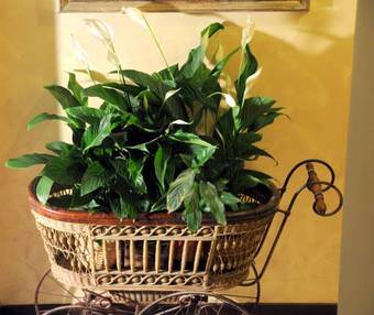 La Meridiana B&B De Charme