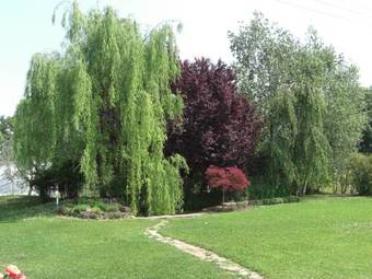 Bed & Breakfast Il Vigneto Affittacamere