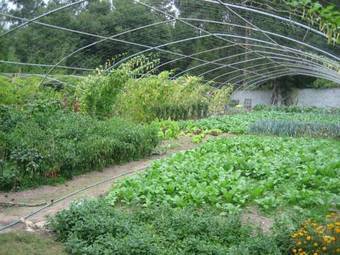 Agroturismo Casa De Casal