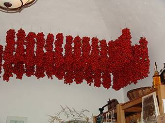 Agroturismo Agriturismo Serafina