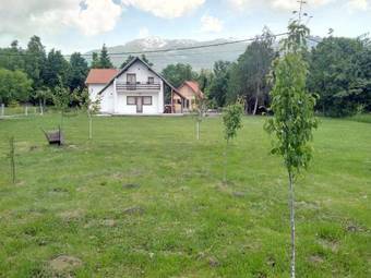 Galesic Apartments & Rooms