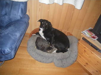 Agroturismo B�hl 3