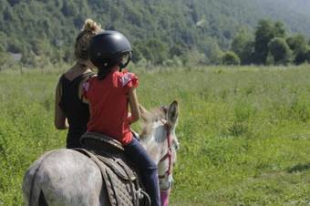 Agroturismo Wolf Village