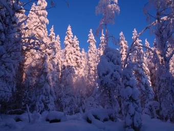 Hostal Tahkonhovi Golden Chalet