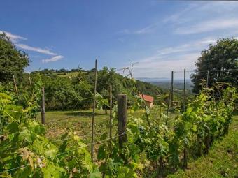 Holiday Home Grilli Scansano