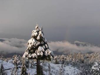 Hotel Anant Rasa, Shitlakhet