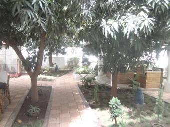 Bed & Breakfast La Venise Malienne