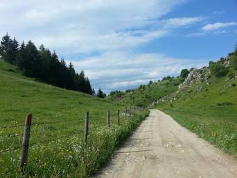 Hostal Pensiunea Crai Nou