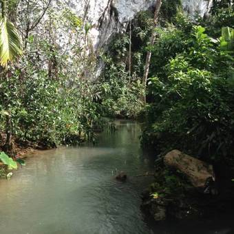 Hotel Khao Sok Silver Cliff Resort