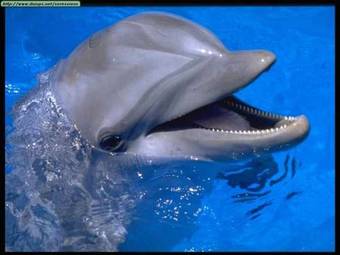 Agroturismo Casas Rurales Serrillal