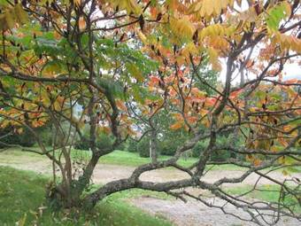 Apartamento Camping Du Ch�teau