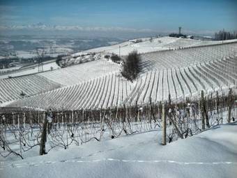 Agroturismo Bricco Rosso