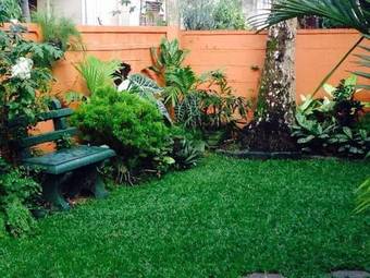 Holiday Nest Bed & Breakfast