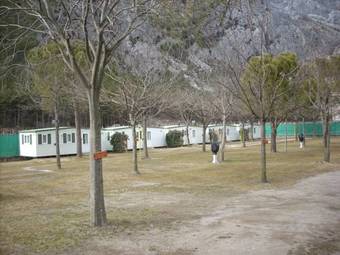 Hostal Camping Daino