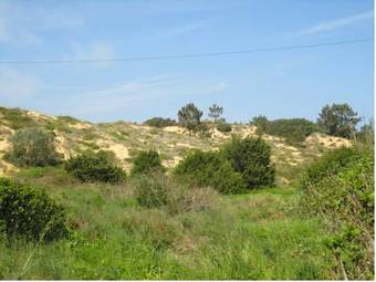 Hostal Natura Maris Dunas Residence