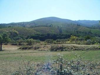 Agroturismo Casa Do Salgueiral