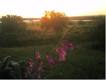 Agroturismo Monte Do Colmeal