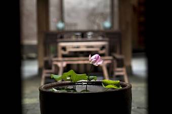 Agroturismo Villavila Masva