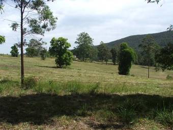 Agroturismo Clarendon Forest Retreat