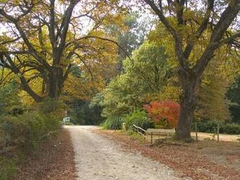 Hogsback Arminel Hotel
