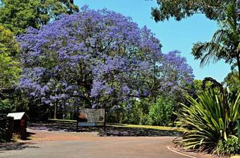 Ravensbourne Escape- Stella Luna