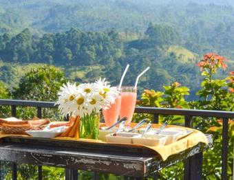 Hotel The Waterfall Resort. St Clairs, Talawakele