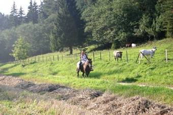 Agroturismo Klumpes Malunas