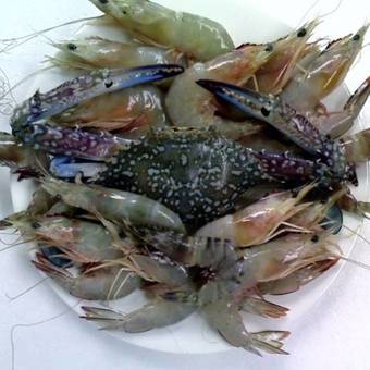 Baan Suen Jungle Lodge Phang Nga