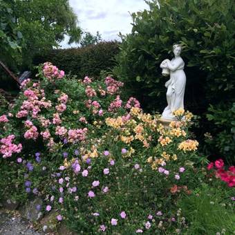 Bed & Breakfast Blairgowrie House