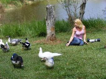Lake Eacham Tourist Park & Cabins