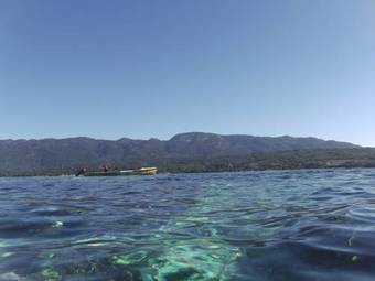 Hostal Rainbowvillas Belmont Jamaica