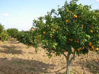 Agroturismo Casa Da Eira De Gondomil