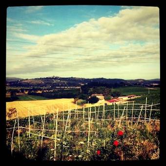 Hostal Fattoria Santa Vittoria
