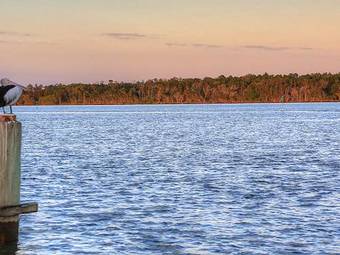 Anchorage Holiday Park