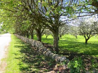 �ppelg�rden Bed & Breakfast