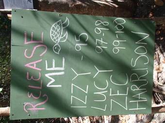 Hotel Tranquility Island Resort