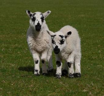 Agroturismo Inch View Lodge