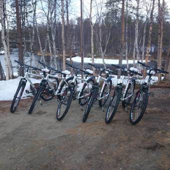 �vre Pasvik Camping