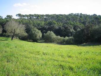 Agroturismo Possessi� Binicomprat