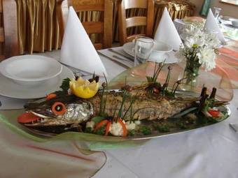 Hostal Hotelik Zelwagi